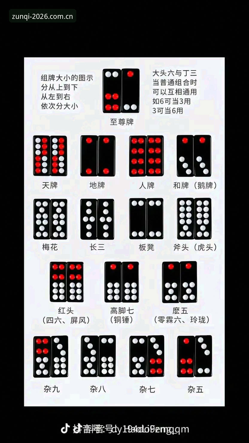 至尊棋牌安全吗？实测v2.3.0版本最新动态与用户反馈